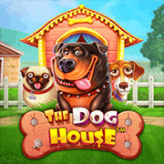 Dog House