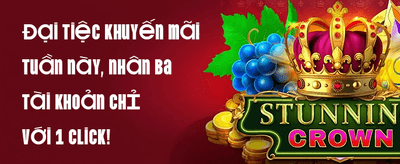 Unlimited Rebates
